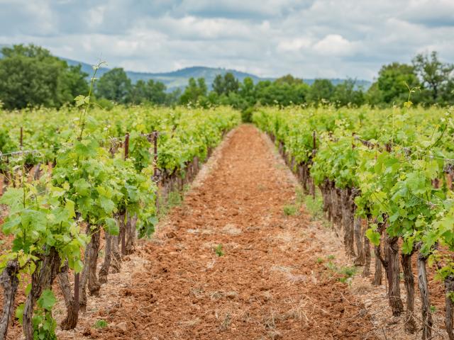 Directe omgeving (<1 km)