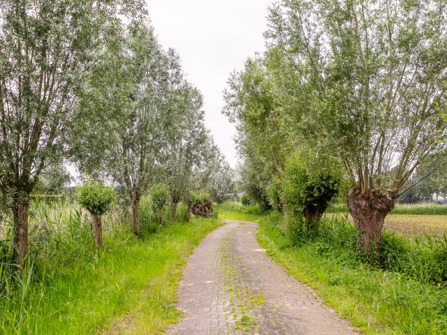 Direkte Umgebung (<1 km)