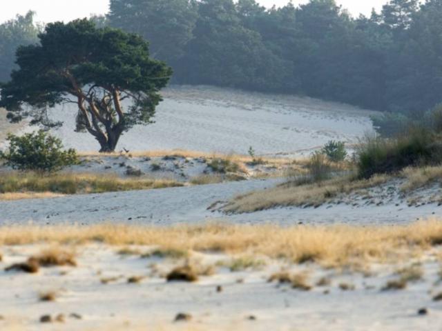 Umgebung [Sommer] (1-5 km)