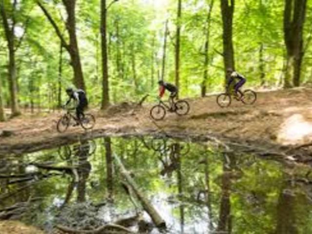 Umgebung [Sommer] (1-5 km)