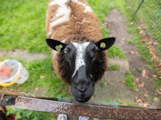 Direkte Umgebung [Sommer] (<1 km)