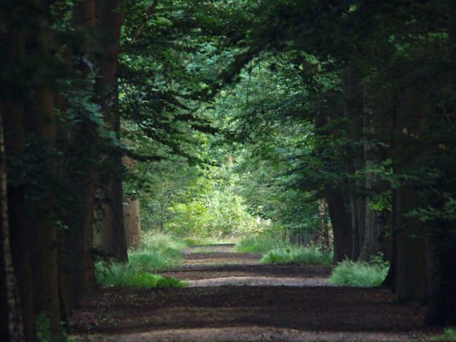 Directe omgeving (<1 km)