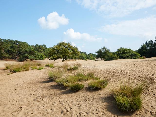 Directe omgeving (<1 km)