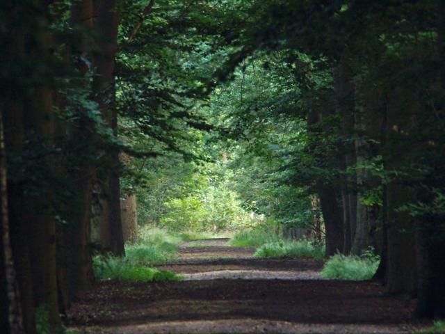 Direkte Umgebung [Sommer] (<1 km)