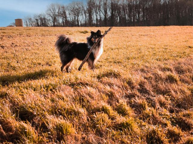 A proximité directe (<1 km)