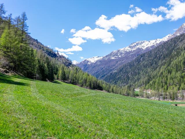 A proximité directe (<1 km)