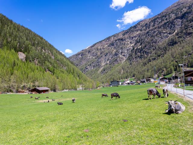 A proximité directe (<1 km)