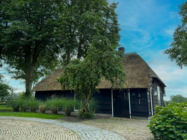 Außenseite Ferienhaus [Sommer]