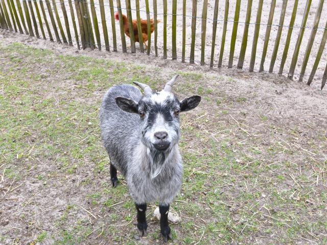 Aussicht vom Ferienhaus [Sommer]
