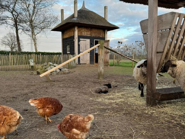 Aussicht vom Ferienhaus [Sommer]