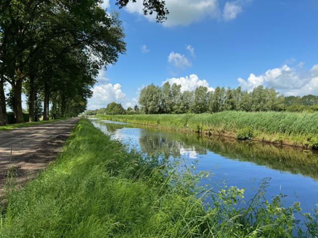 Direkte Umgebung [Sommer] (<1 km)