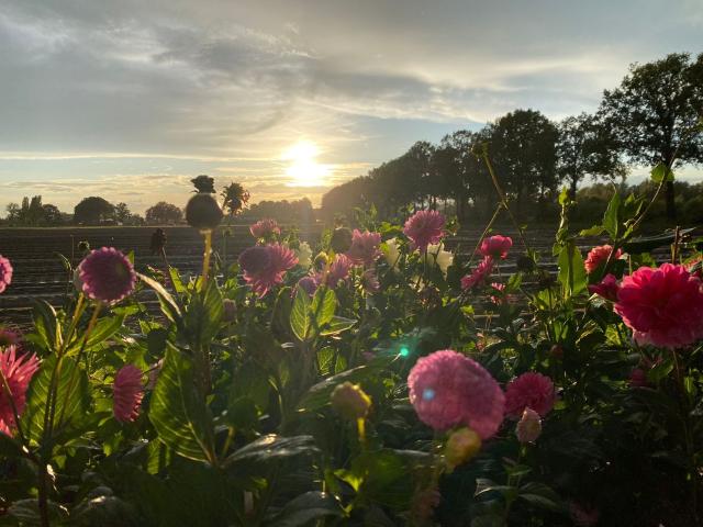 Direkte Umgebung [Sommer] (<1 km)