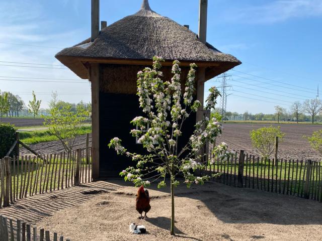 Aussicht vom Ferienhaus [Sommer]