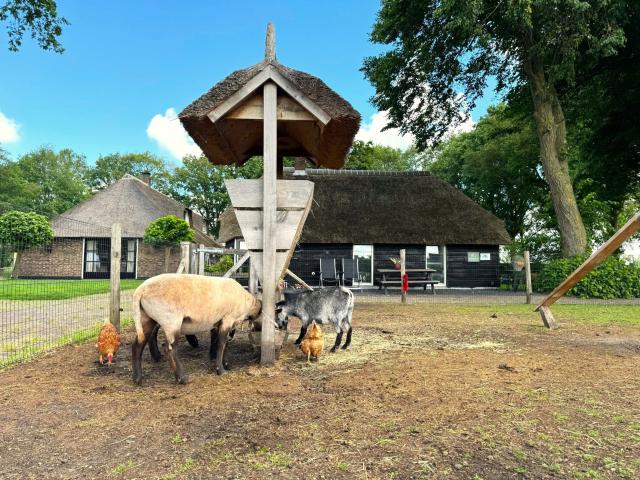 Ausstattung und Service des Ferienhauses