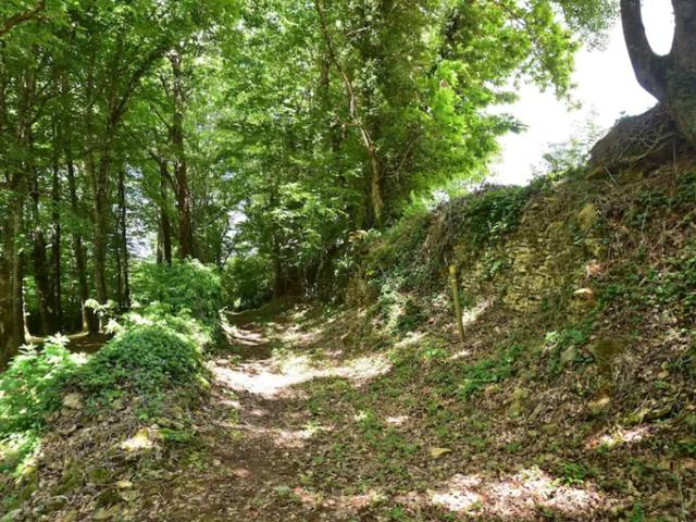 Direkte Umgebung (<1 km)