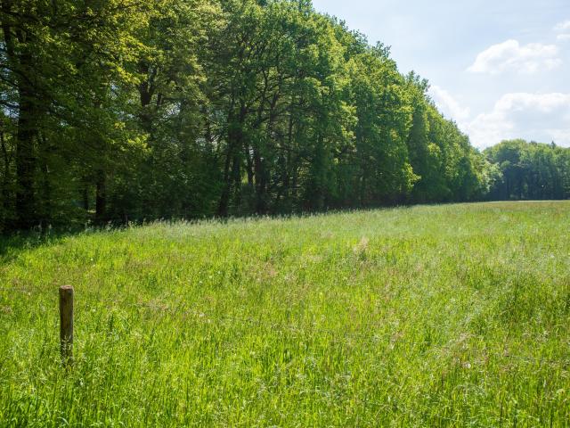 Immediate Surroundings (<1 km)