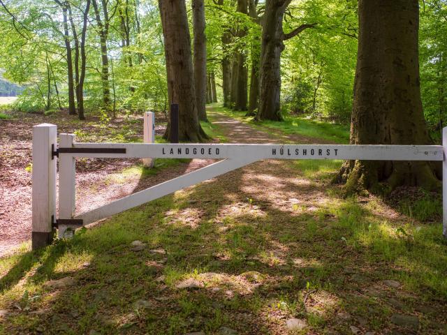 Immediate Surroundings (<1 km)