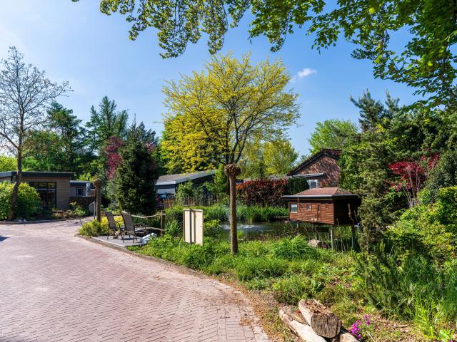 Immediate Surroundings (<1 km)