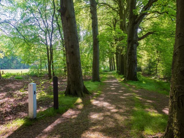 Immediate Surroundings (<1 km)