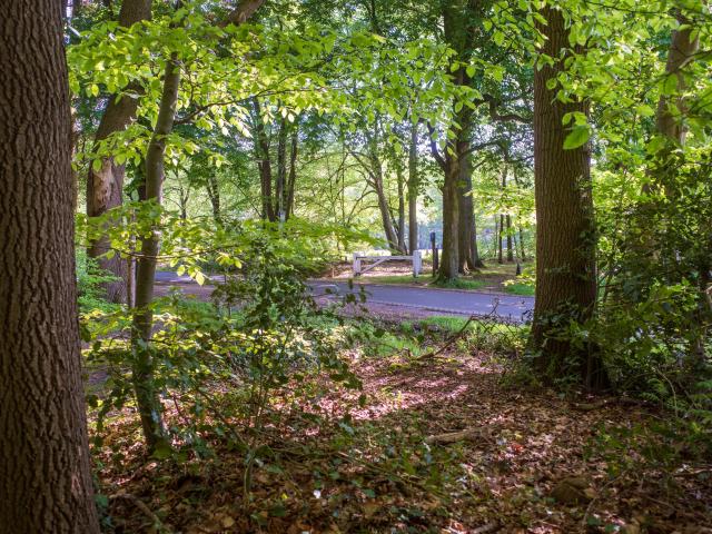 Immediate Surroundings (<1 km)