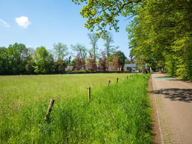 Immediate Surroundings (<1 km)