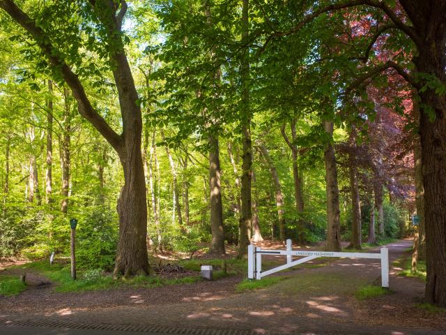 Immediate Surroundings (<1 km)