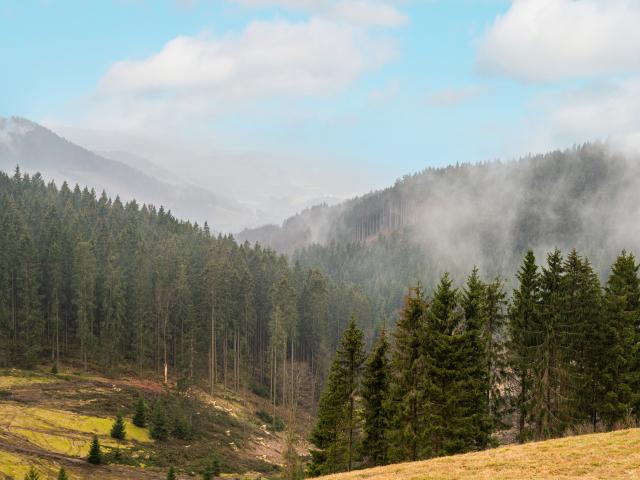 Aussicht vom Ferienhaus [Sommer]
