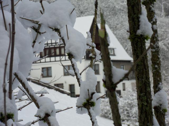 Ambiente / Nahaufnahme