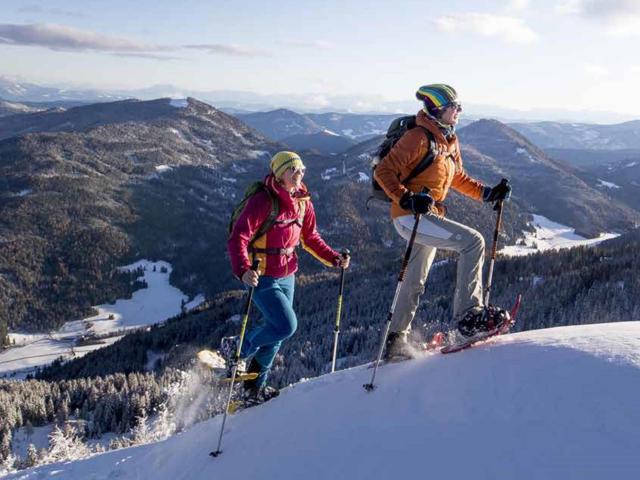 Directe omgeving (<1 km)