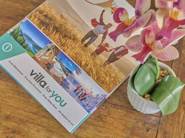 Ambiente / Nahaufnahme