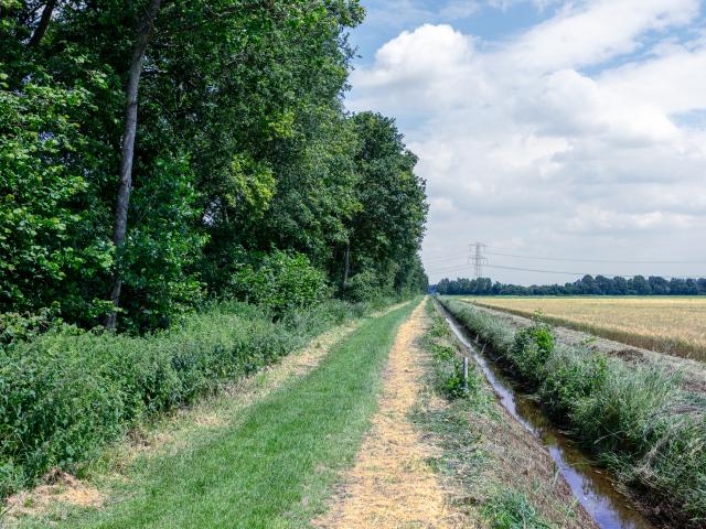 Direkte Umgebung [Sommer] (<1 km)
