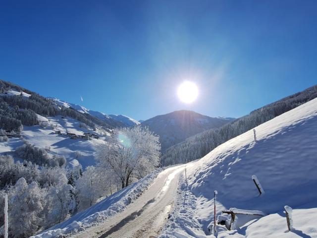 Directe omgeving (<1 km)