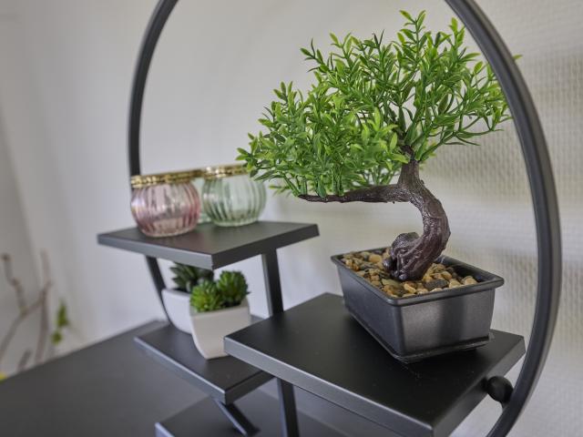 Ambiente / Nahaufnahme