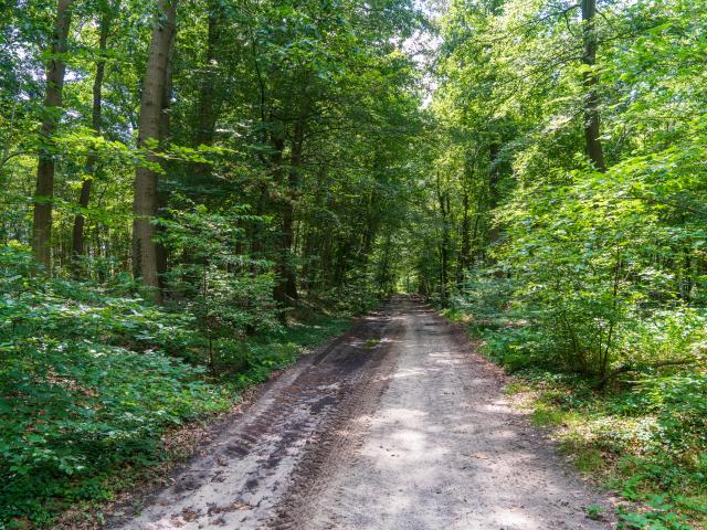 Direkte Umgebung [Sommer] (<1 km)