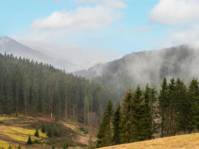 Vue de la maison de vacances