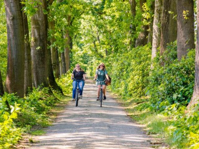 Umgebung [Sommer] (1-5 km)