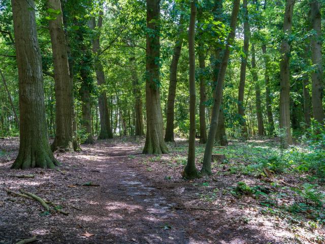 Direkte Umgebung [Sommer] (<1 km)