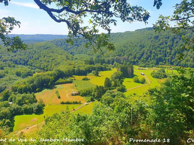 Surroundings (1-5 km)