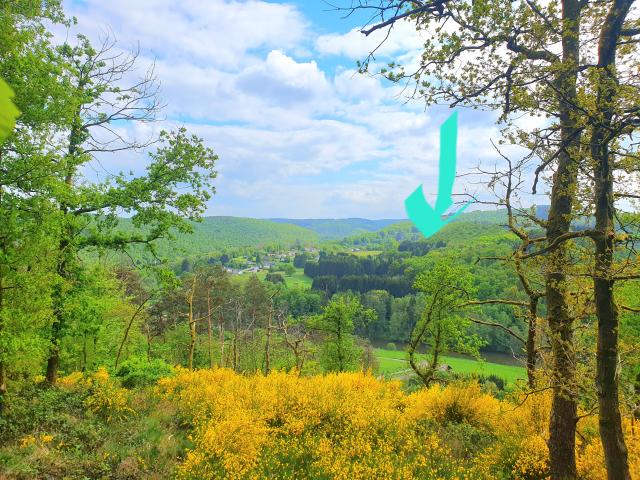 View from Holiday Home