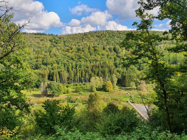 Immediate Surroundings (<1 km)