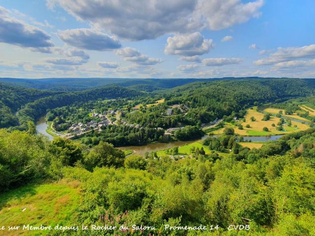 Surroundings (1-5 km)