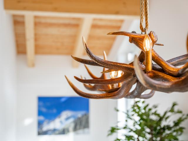 Ambiente / Nahaufnahme