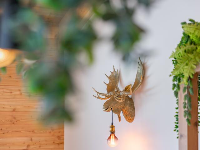 Ambiente / Nahaufnahme