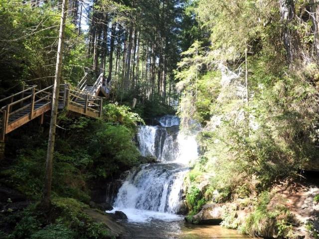 In der Region [Sommer] (>5 km)