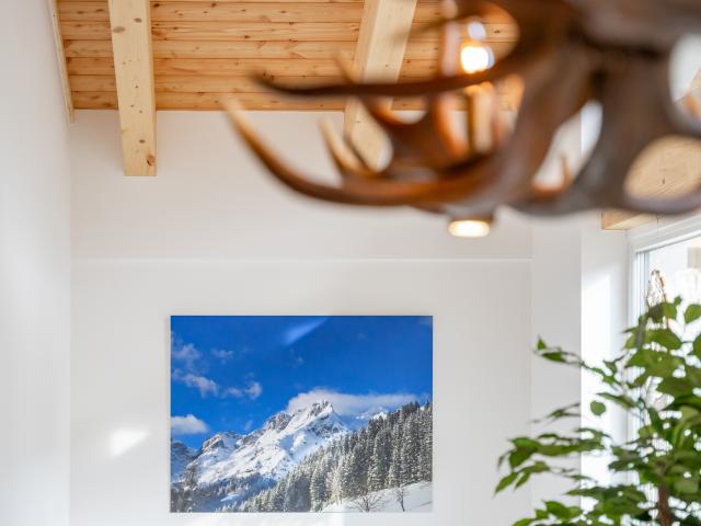 Ambiente / Nahaufnahme