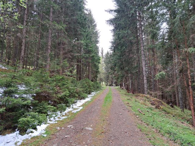 Umgebung [Sommer] (1-5 km)