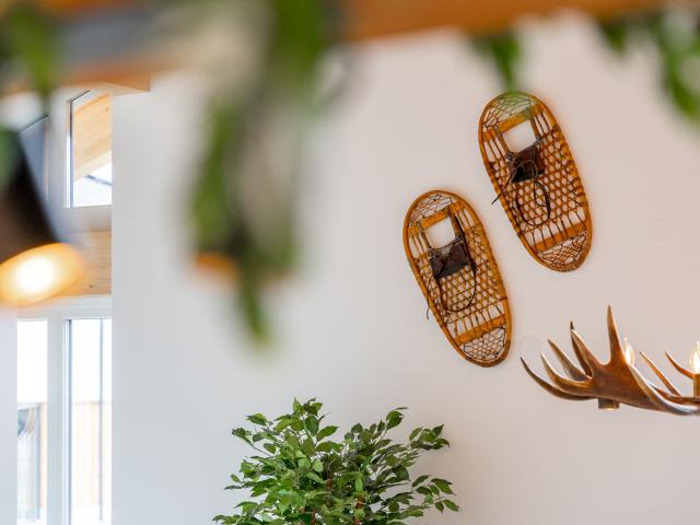 Ambiente / Nahaufnahme