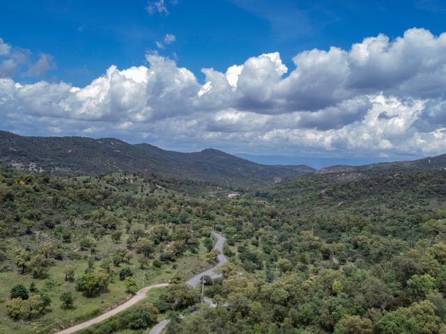 Direkte Umgebung (<1 km)