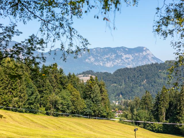 Direkte Umgebung (<1 km)