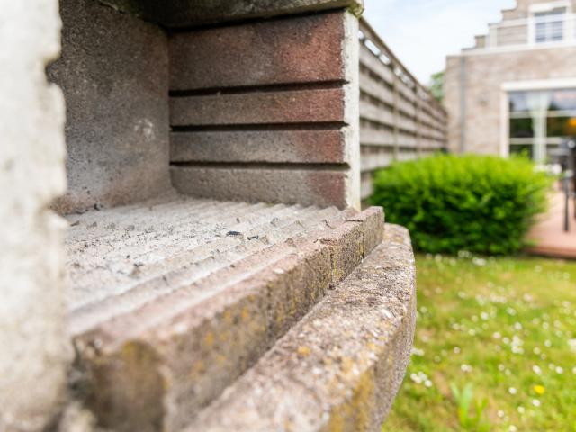 Ambiente / Nahaufnahme